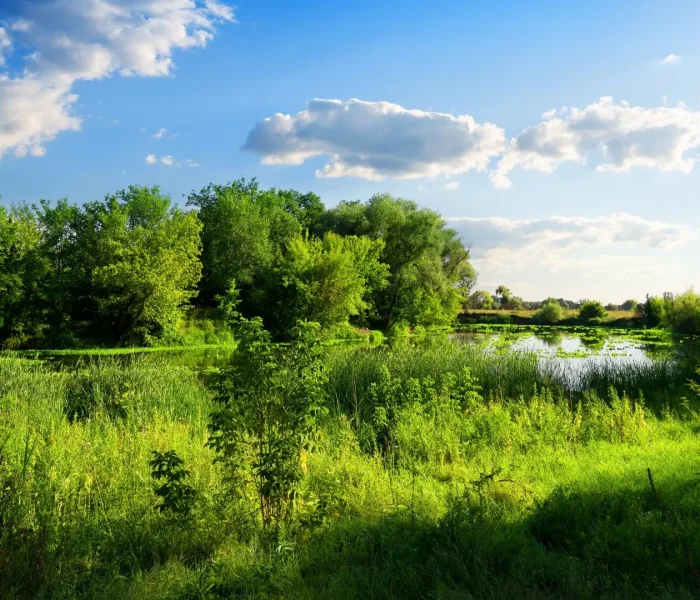 Przedszkole Wilanów