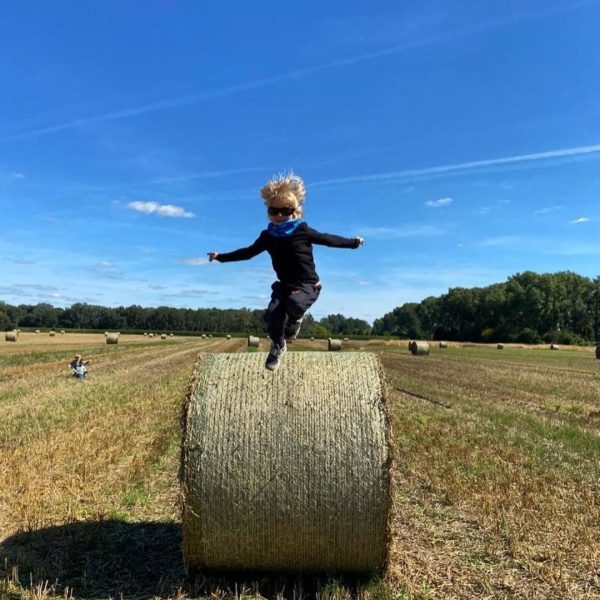 przedszkole - wilanów